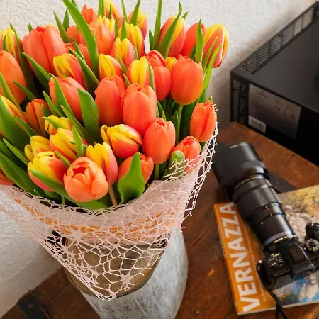 招待所 Macaia Village Life With Ac #1 韦尔纳扎